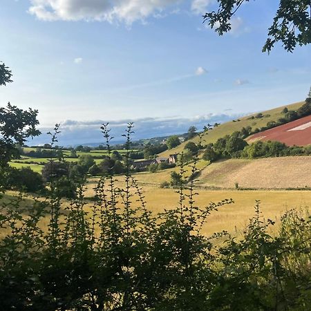 Countryside Converted Barn With Hot Tub Newton Abbot Bagian luar foto