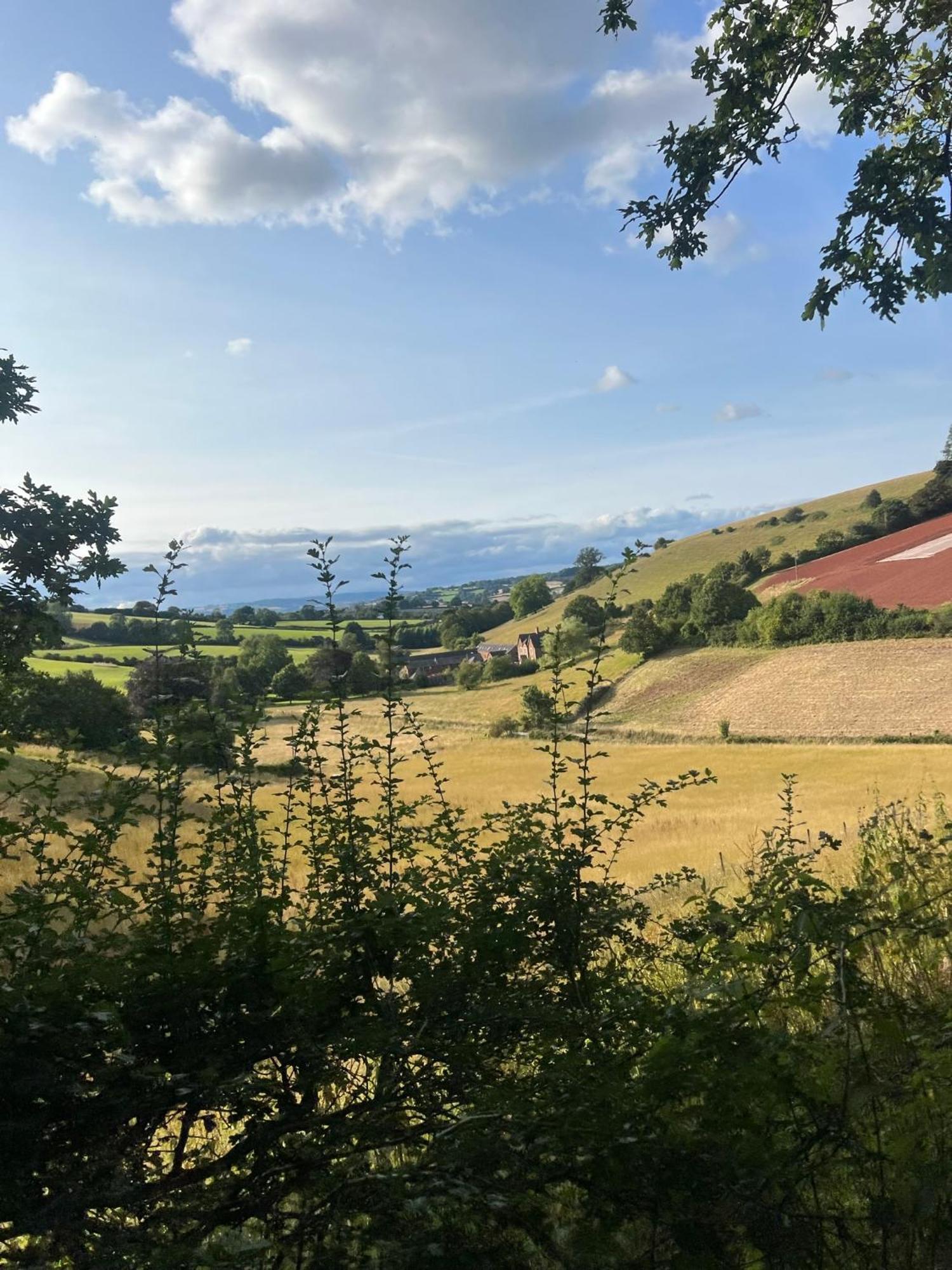 Countryside Converted Barn With Hot Tub Newton Abbot Bagian luar foto